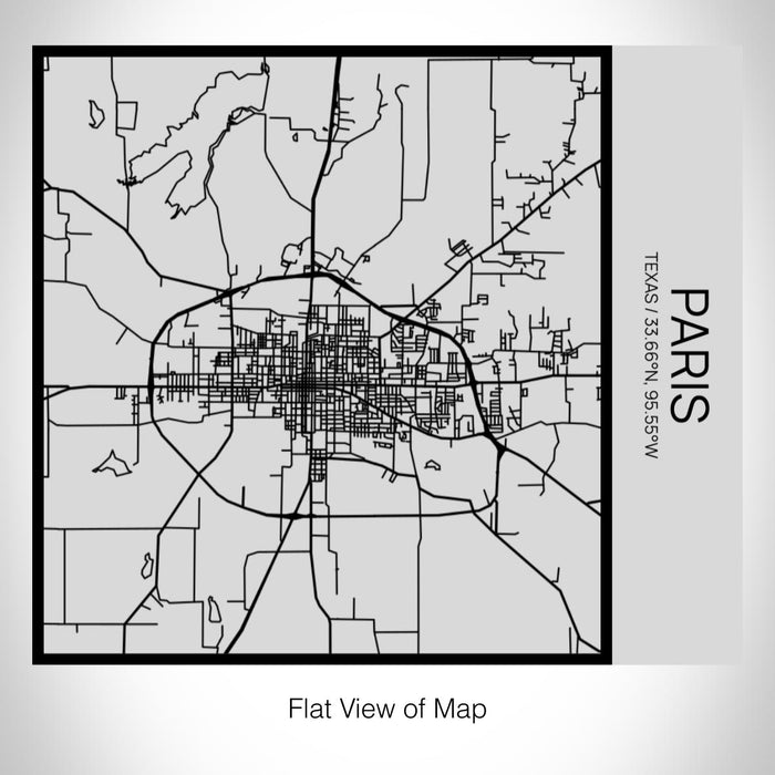 Rendered View of Paris Texas Map on 17oz Stainless Steel Insulated Tumbler in Tactile Lines with Succulent in Background