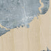 Pensacola Florida Map Print in Afternoon Style Zoomed In Close Up Showing Details