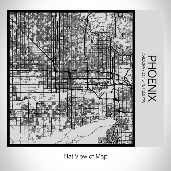 Rendered View of Phoenix Arizona Map on 17oz Stainless Steel Insulated Tumbler in Tactile Lines with Succulent in Background