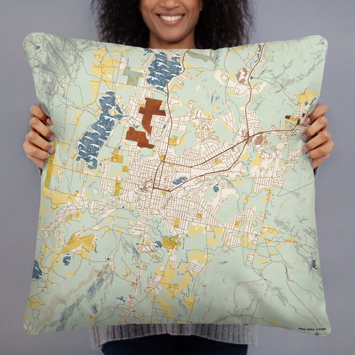 Person holding 22x22 Custom Pittsfield Massachusetts Map Throw Pillow in Woodblock