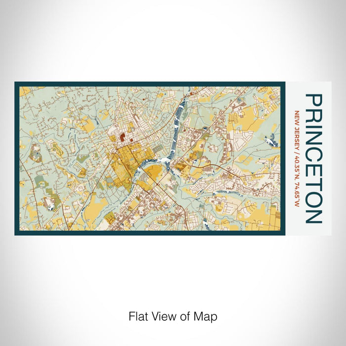 Rendered View of Princeton New Jersey Map on 17oz Stainless Steel Insulated Bottle with printed woodblock style map