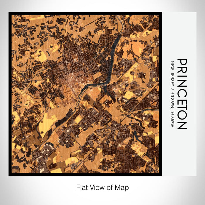 Rendered View of Princeton New Jersey Map on 17oz Stainless Steel Insulated Tumbler in Ember Map Style