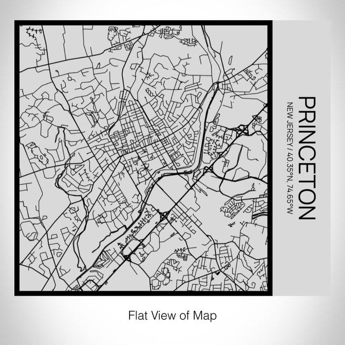 Rendered View of Princeton New Jersey Map on 17oz Stainless Steel Insulated Tumbler in Tactile Lines with Succulent in Background
