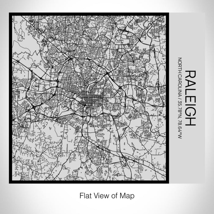 Rendered View of Raleigh North Carolina Map on 17oz Stainless Steel Insulated Tumbler in Tactile Lines with Succulent in Background