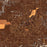 Ramona California Map Print in Ember Style Zoomed In Close Up Showing Details