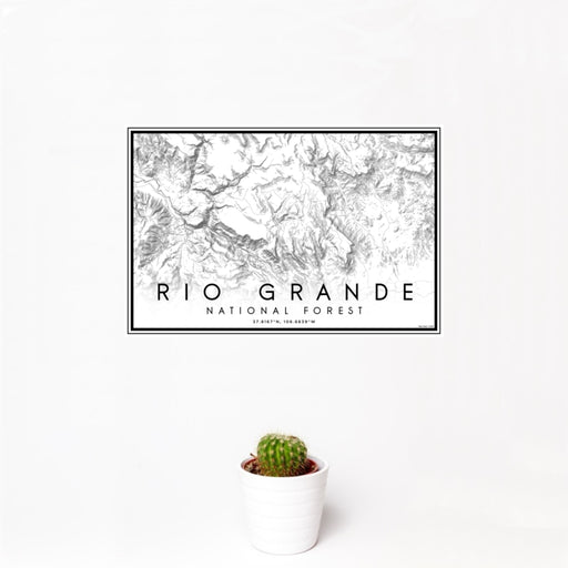 12x18 Rio Grande National Forest Map Print Landscape Orientation in Classic Style With Small Cactus Plant in White Planter