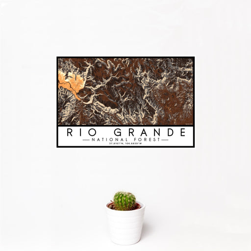 12x18 Rio Grande National Forest Map Print Landscape Orientation in Ember Style With Small Cactus Plant in White Planter
