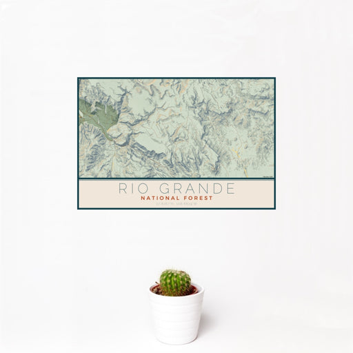 12x18 Rio Grande National Forest Map Print Landscape Orientation in Woodblock Style With Small Cactus Plant in White Planter