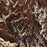 Rio Grande National Forest Map Print in Ember Style Zoomed In Close Up Showing Details