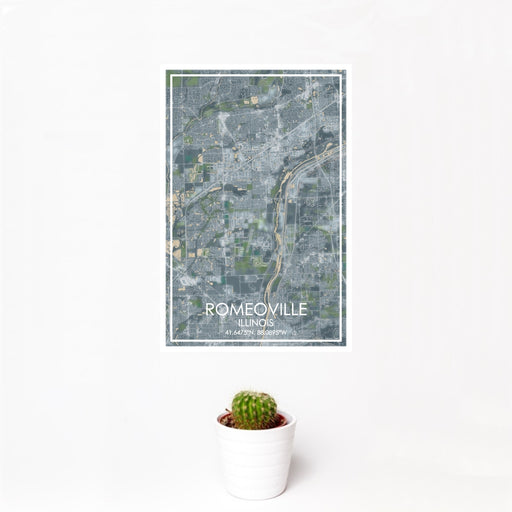 12x18 Romeoville Illinois Map Print Portrait Orientation in Afternoon Style With Small Cactus Plant in White Planter