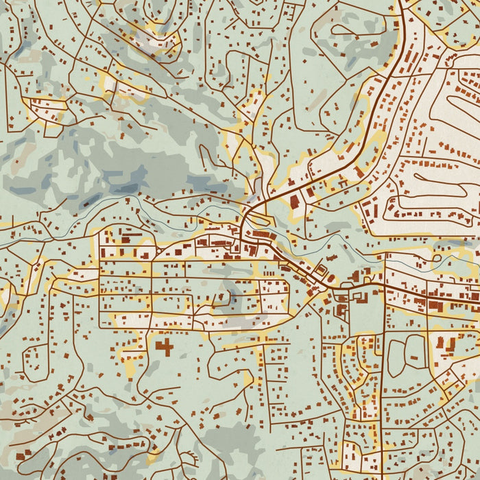 Ruidoso New Mexico Map Print in Woodblock Style Zoomed In Close Up Showing Details
