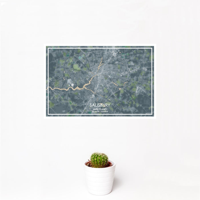 12x18 Salisbury Maryland Map Print Landscape Orientation in Afternoon Style With Small Cactus Plant in White Planter