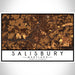 Salisbury Maryland Map Print Landscape Orientation in Ember Style With Shaded Background