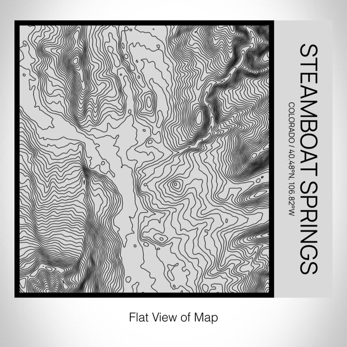 Rendered View of Steamboat Springs Colorado Map on 17oz Stainless Steel Insulated Tumbler in Tactile Lines with Succulent in Background