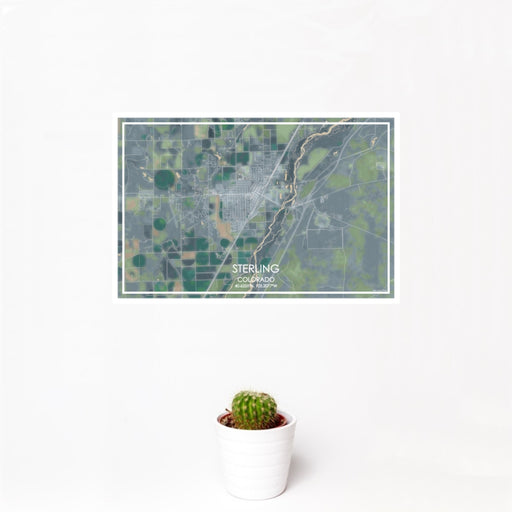 12x18 Sterling Colorado Map Print Landscape Orientation in Afternoon Style With Small Cactus Plant in White Planter