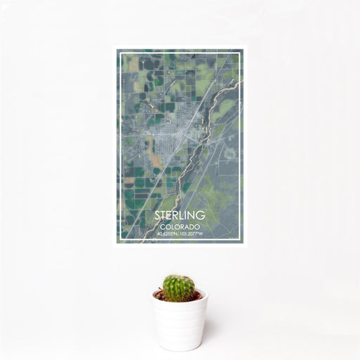 12x18 Sterling Colorado Map Print Portrait Orientation in Afternoon Style With Small Cactus Plant in White Planter