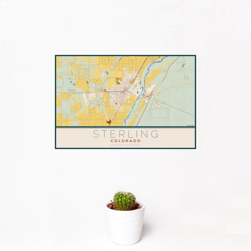 12x18 Sterling Colorado Map Print Landscape Orientation in Woodblock Style With Small Cactus Plant in White Planter