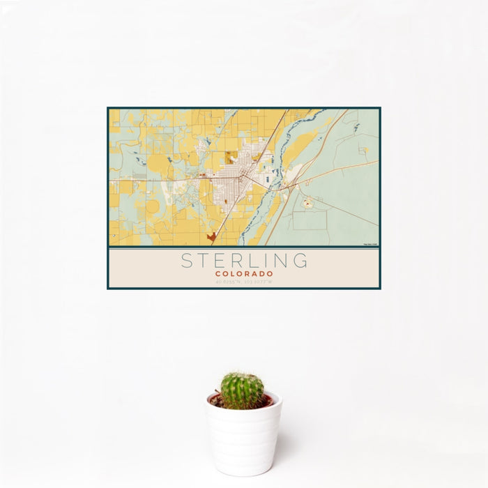 12x18 Sterling Colorado Map Print Landscape Orientation in Woodblock Style With Small Cactus Plant in White Planter