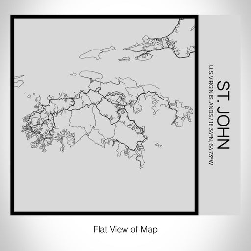 Rendered View of St. John U.S. Virgin Islands Map on 17oz Stainless Steel Insulated Tumbler in Tactile Lines with Succulent in Background