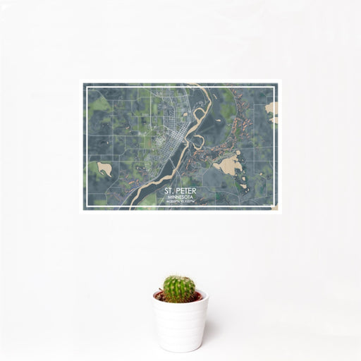 12x18 St. Peter Minnesota Map Print Landscape Orientation in Afternoon Style With Small Cactus Plant in White Planter