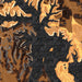 Tims Ford Lake Tennessee Map Print in Ember Style Zoomed In Close Up Showing Details