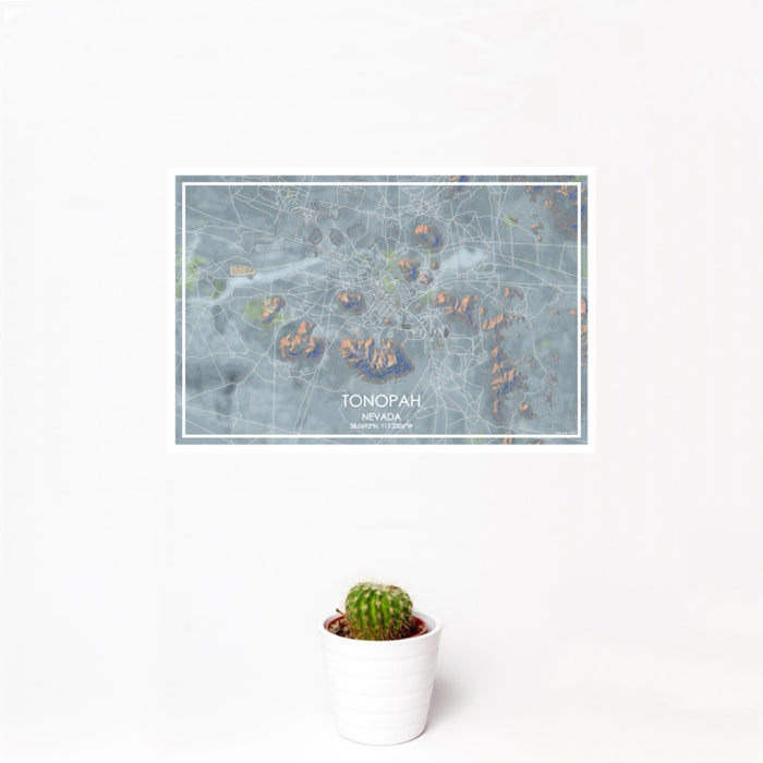 12x18 Tonopah Nevada Map Print Landscape Orientation in Afternoon Style With Small Cactus Plant in White Planter