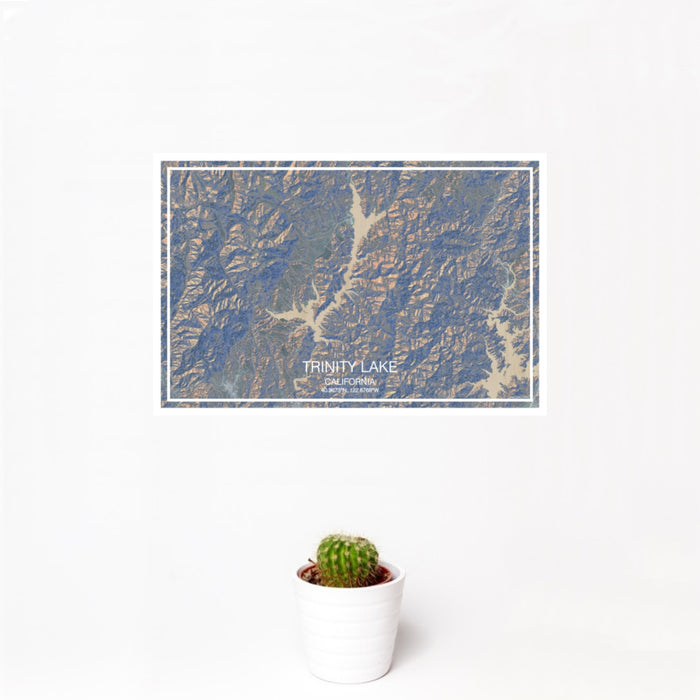 12x18 Trinity Lake California Map Print Landscape Orientation in Afternoon Style With Small Cactus Plant in White Planter