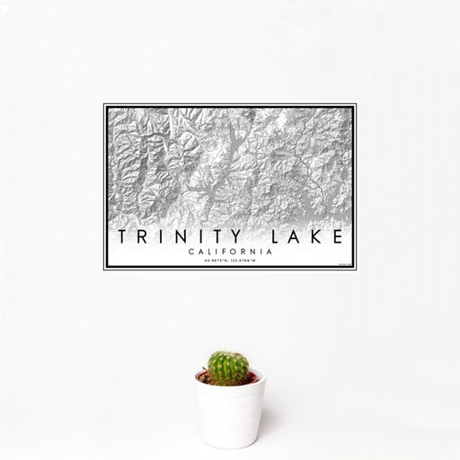 12x18 Trinity Lake California Map Print Landscape Orientation in Classic Style With Small Cactus Plant in White Planter