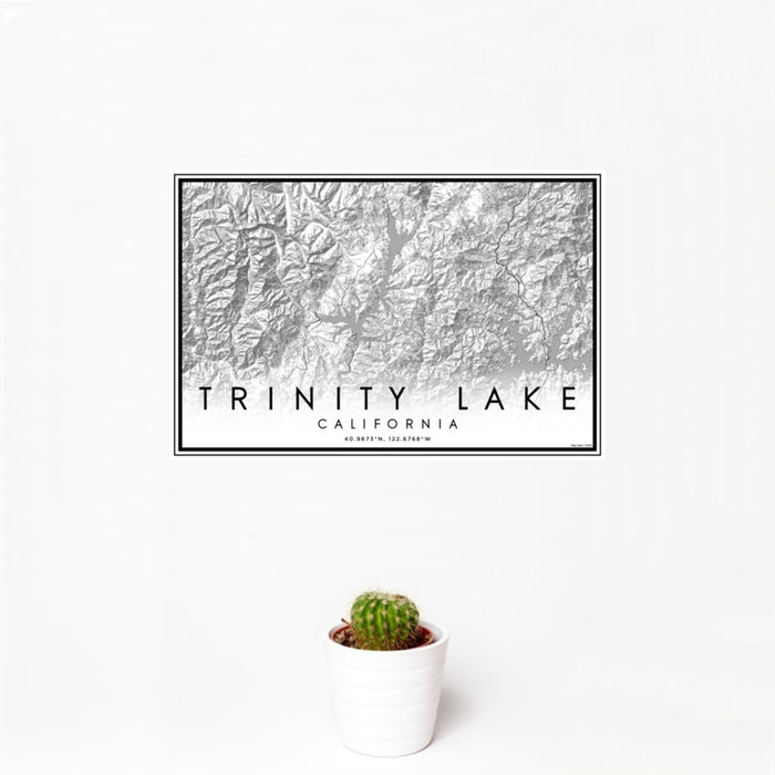 12x18 Trinity Lake California Map Print Landscape Orientation in Classic Style With Small Cactus Plant in White Planter