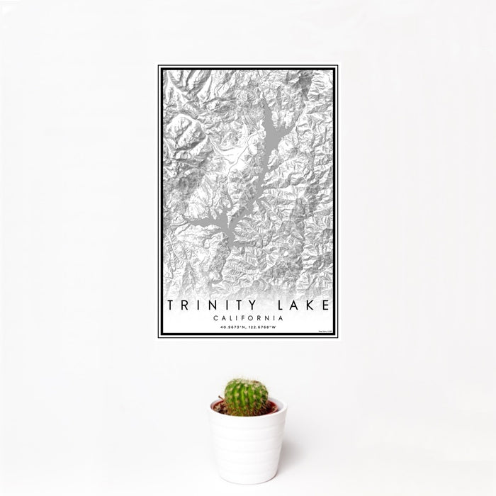 12x18 Trinity Lake California Map Print Portrait Orientation in Classic Style With Small Cactus Plant in White Planter