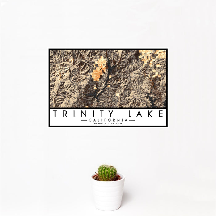 12x18 Trinity Lake California Map Print Landscape Orientation in Ember Style With Small Cactus Plant in White Planter