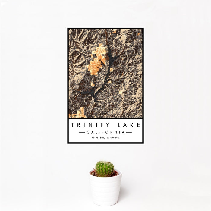 12x18 Trinity Lake California Map Print Portrait Orientation in Ember Style With Small Cactus Plant in White Planter