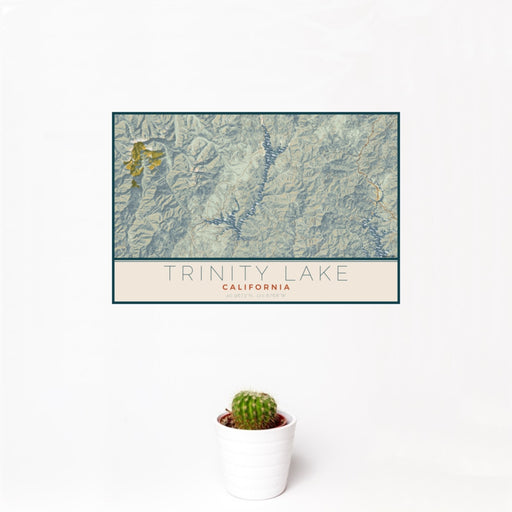 12x18 Trinity Lake California Map Print Landscape Orientation in Woodblock Style With Small Cactus Plant in White Planter