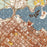 Vancouver British Columbia Map Print in Woodblock Style Zoomed In Close Up Showing Details