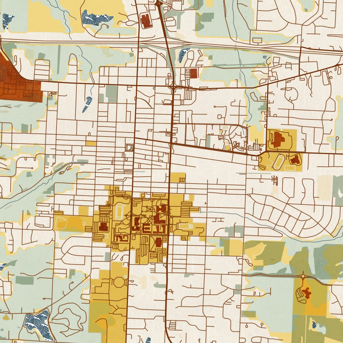 Warrensburg Missouri Map Print in Woodblock Style Zoomed In Close Up Showing Details