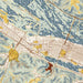 Winona Minnesota Map Print in Woodblock Style Zoomed In Close Up Showing Details