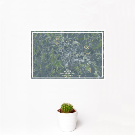 12x18 York South Carolina Map Print Landscape Orientation in Afternoon Style With Small Cactus Plant in White Planter