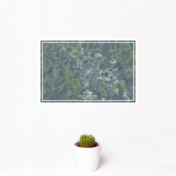 12x18 York South Carolina Map Print Landscape Orientation in Afternoon Style With Small Cactus Plant in White Planter