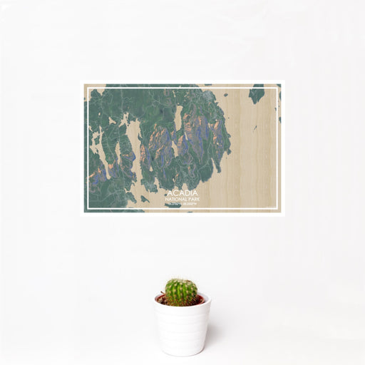 12x18 ACADIA National Park Map Print Landscape Orientation in Afternoon Style With Small Cactus Plant in White Planter