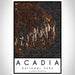 Acadia National Park Map Print Portrait Orientation in Ember Style With Shaded Background