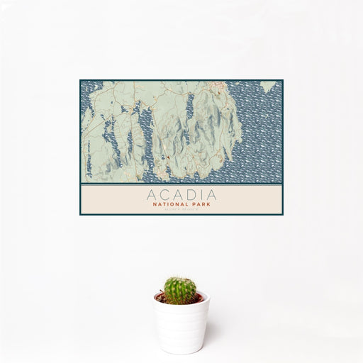 12x18 Acadia National Park Map Print Landscape Orientation in Woodblock Style With Small Cactus Plant in White Planter