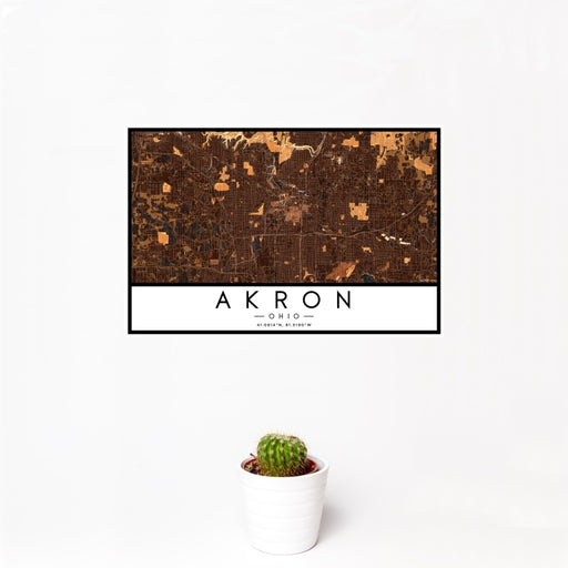 12x18 Akron Ohio Map Print Landscape Orientation in Ember Style With Small Cactus Plant in White Planter