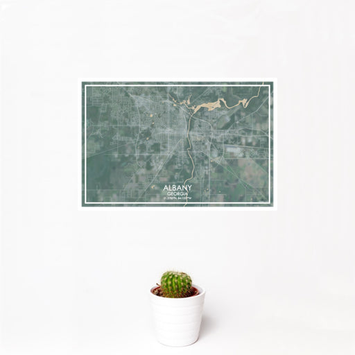 12x18 ALBANY Georgia Map Print Landscape Orientation in Afternoon Style With Small Cactus Plant in White Planter