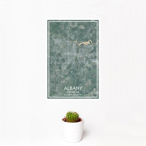 12x18 ALBANY Georgia Map Print Portrait Orientation in Afternoon Style With Small Cactus Plant in White Planter