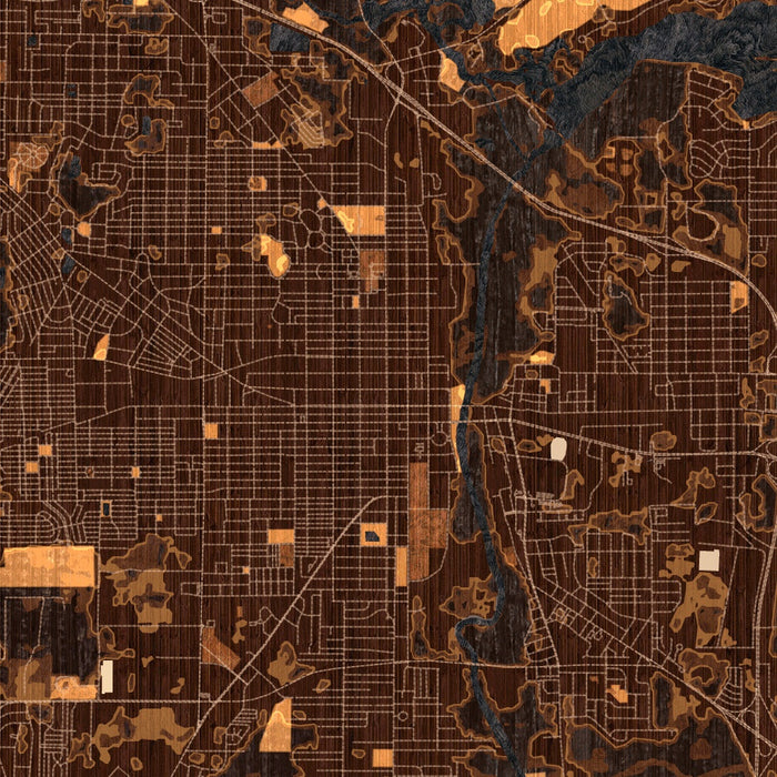 Albany Georgia Map Print in Ember Style Zoomed In Close Up Showing Details