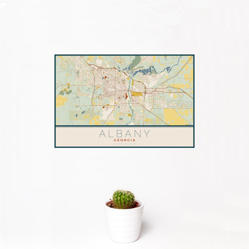 12x18 Albany Georgia Map Print Landscape Orientation in Woodblock Style With Small Cactus Plant in White Planter