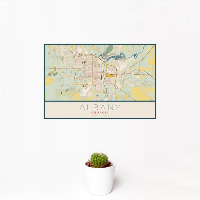 12x18 Albany Georgia Map Print Landscape Orientation in Woodblock Style With Small Cactus Plant in White Planter