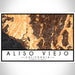 Aliso Viejo California Map Print Landscape Orientation in Ember Style With Shaded Background