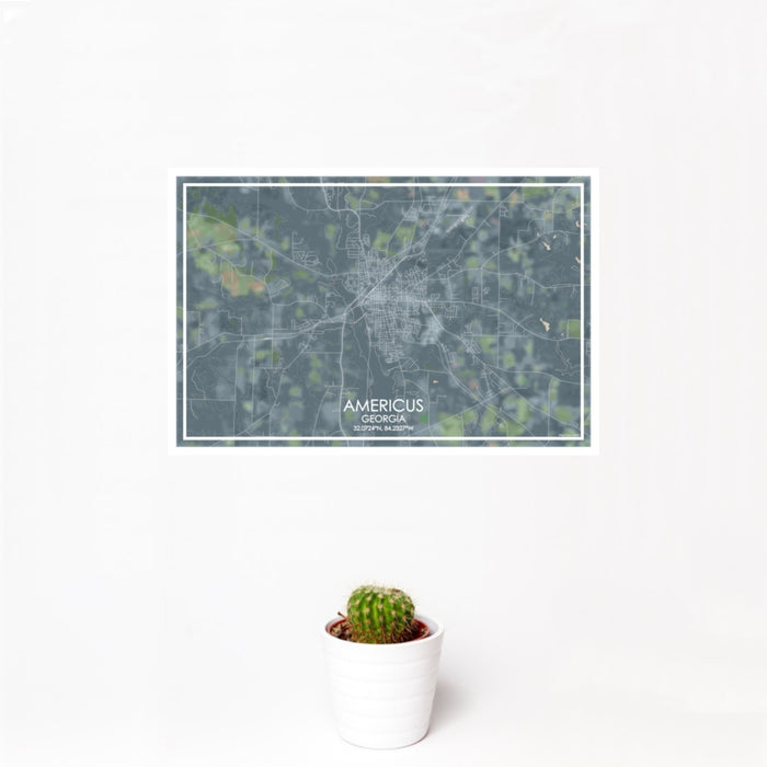 12x18 Americus Georgia Map Print Landscape Orientation in Afternoon Style With Small Cactus Plant in White Planter