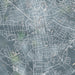Anderson South Carolina Map Print in Afternoon Style Zoomed In Close Up Showing Details